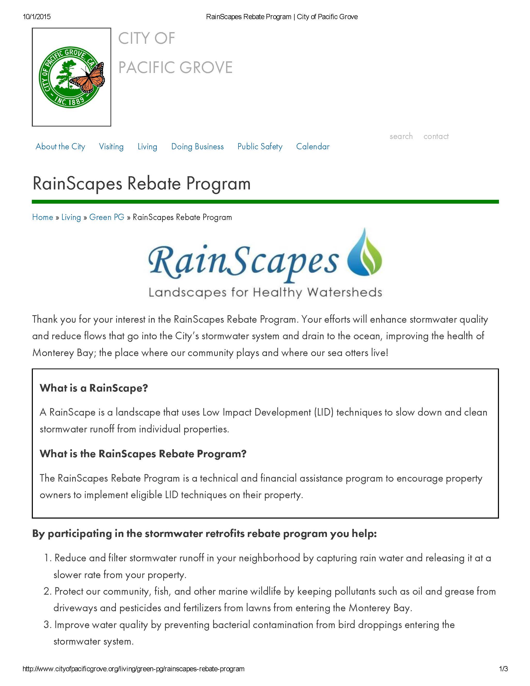 RainScapes (1)